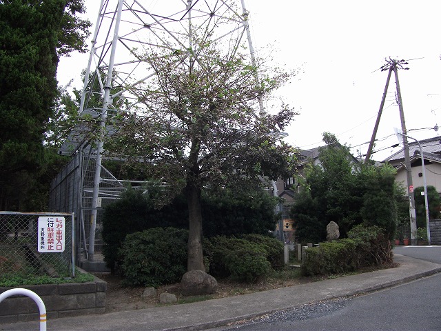 八尾木北第一公園外側にある