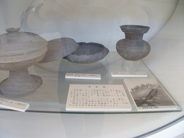 展示発掘品