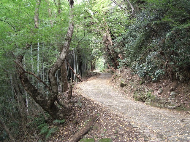 山道