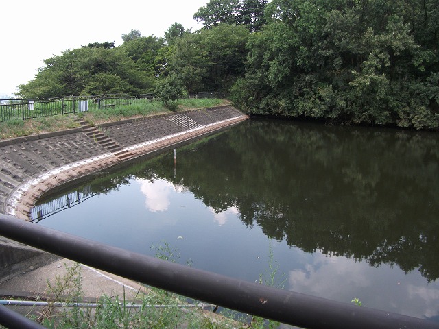 向山古墳側池より