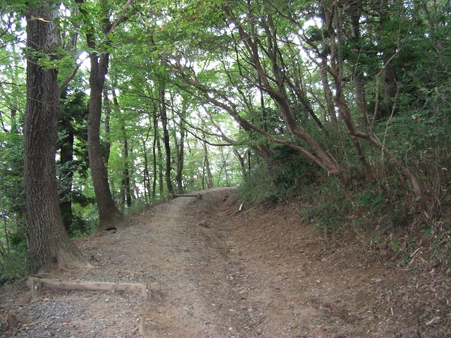 道中　生駒縦断歩道